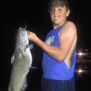 Meet your Posher, Micah